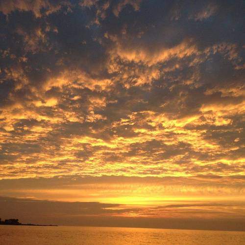 Photo #10684454