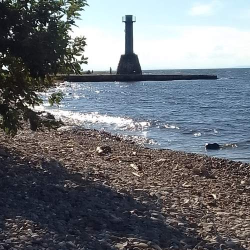 Photo #10684469