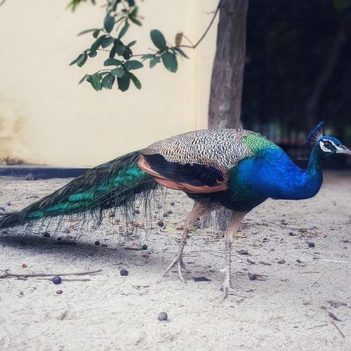 Photo #10684533