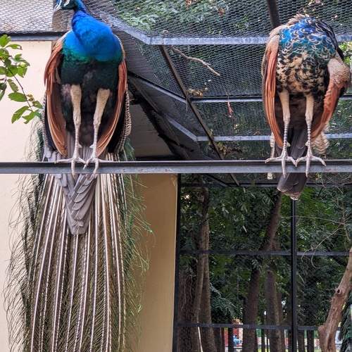 Photo #10684565