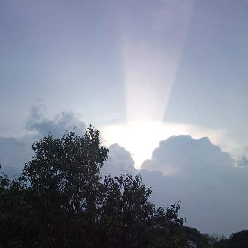 Photo #10684687