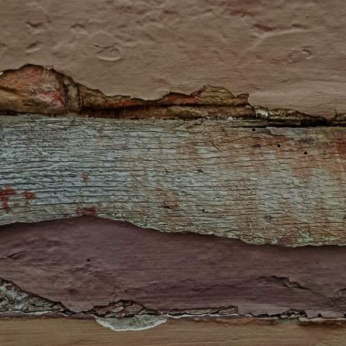 Photo #10684707