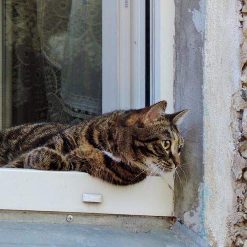 Photo #10684922