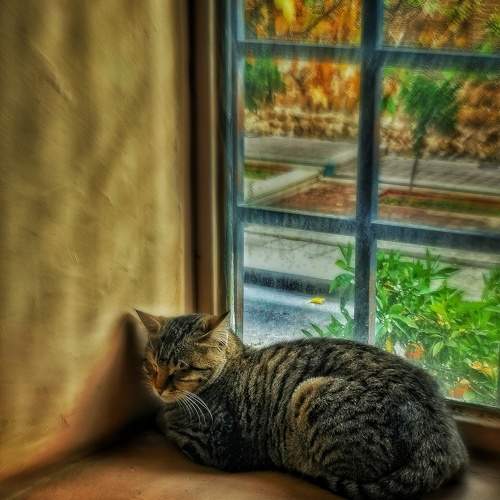 Photo #10685049