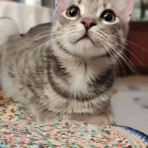Photo #10685223