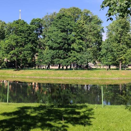 Photo #10685269