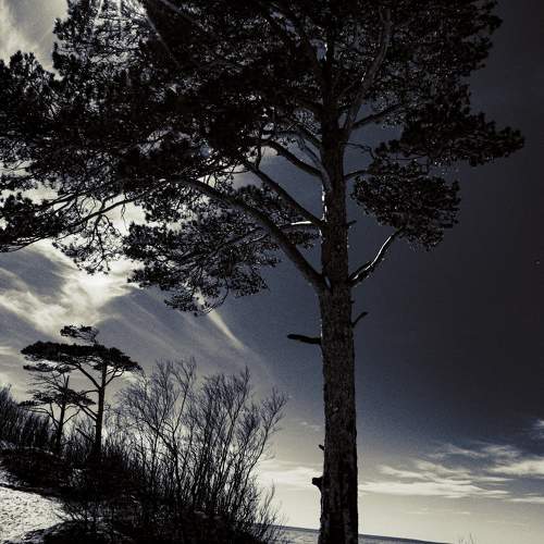 Photo #10685735
