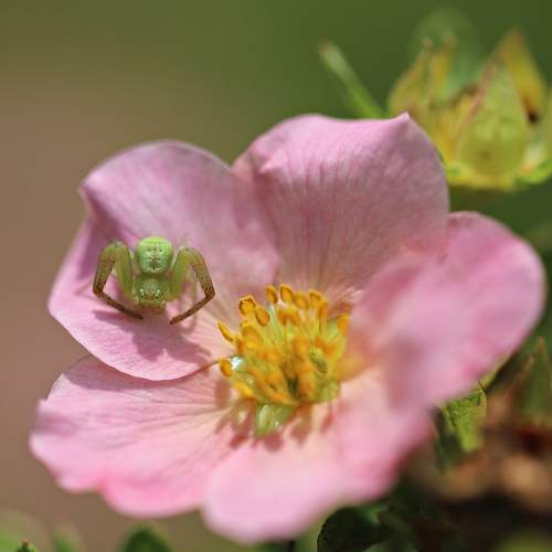 Photo #10685768