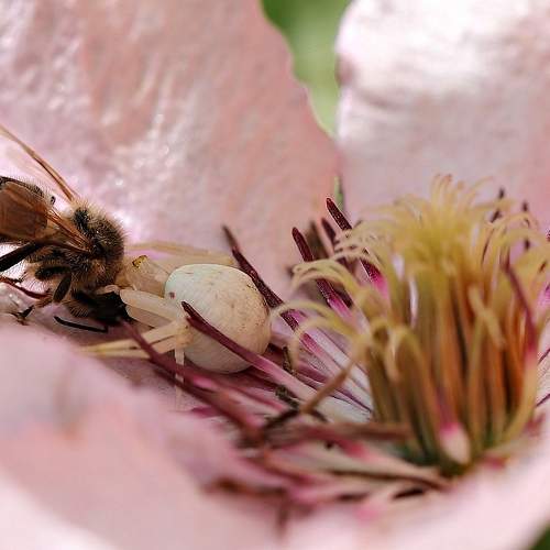 Photo #10685779
