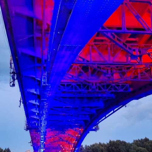 Photo #10685880