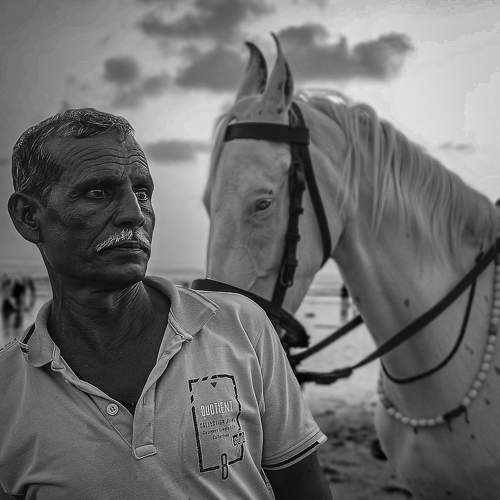 Photo #10685914