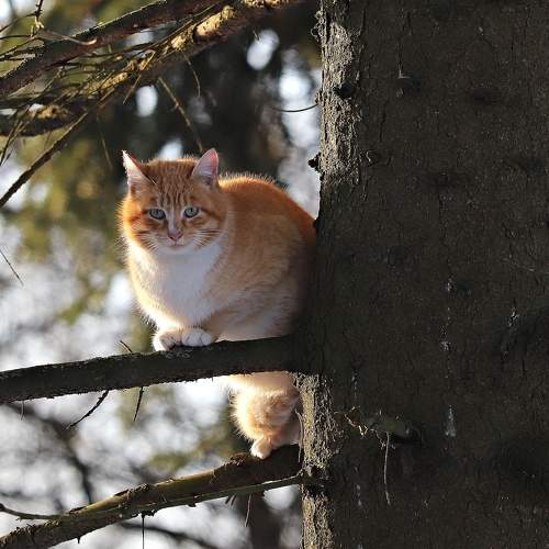 Photo #10685973
