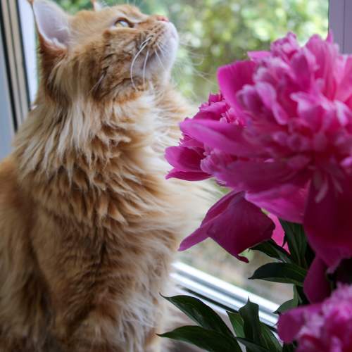 Photo #10686601