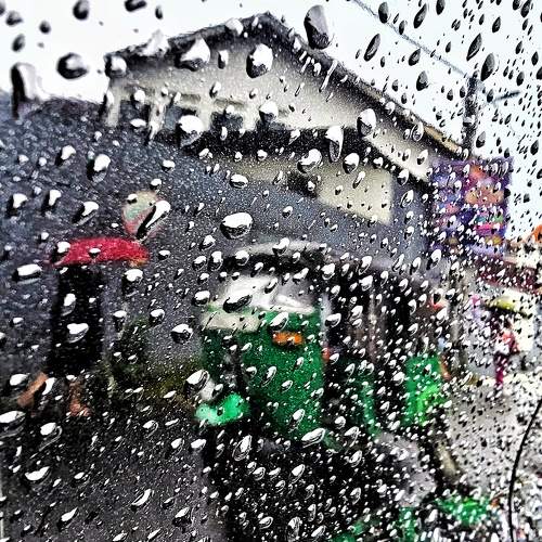 Photo #10686649