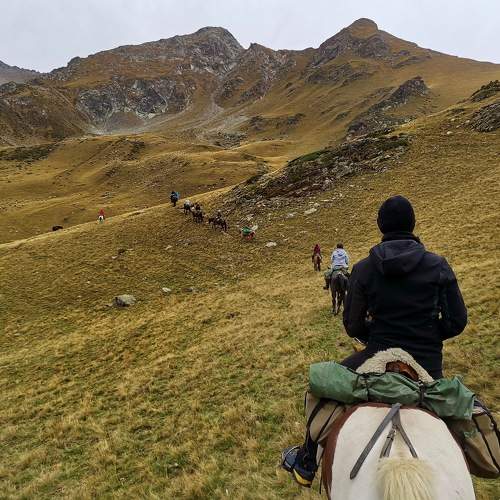 Photo #10686672