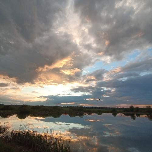 Photo #10686724