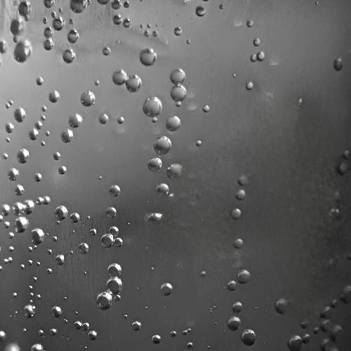 Photo #10686762