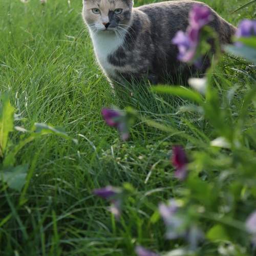 Photo #10686909