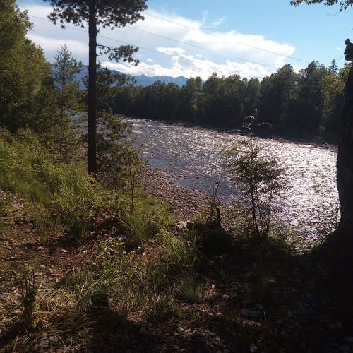 Photo #10687011