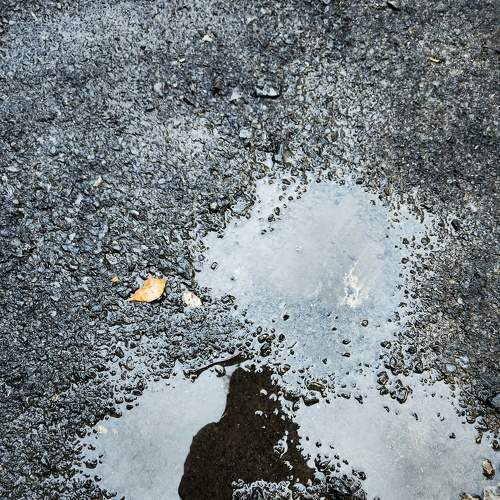 Photo #10687072
