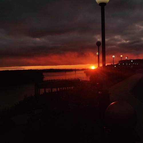 Photo #10687214