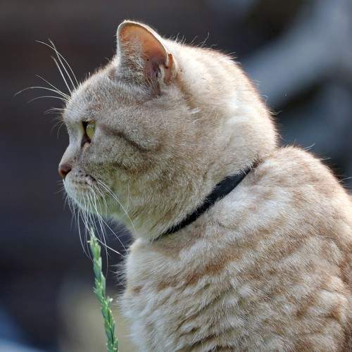 Photo #10687601