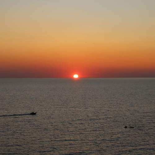 Photo #10687605