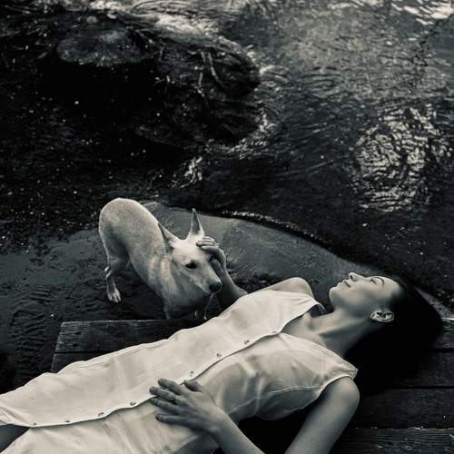 Photo #10687806