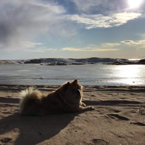 Photo #10687875