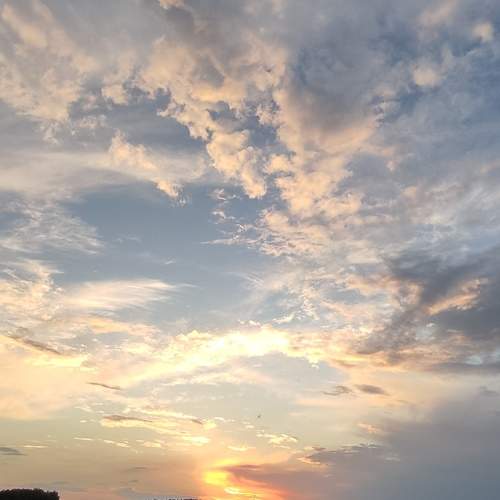 Photo #10687955