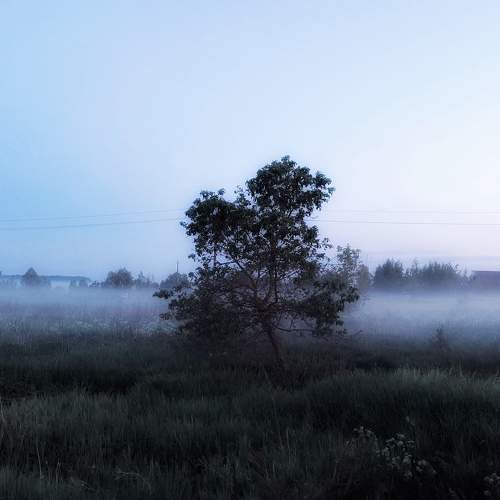 Photo #10688242