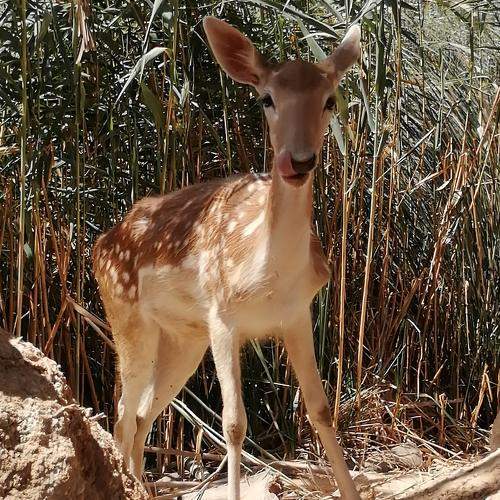 Photo #10688405