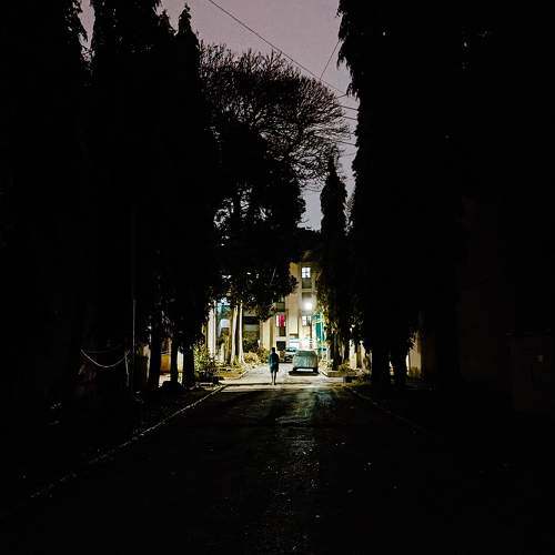 Photo #10688646