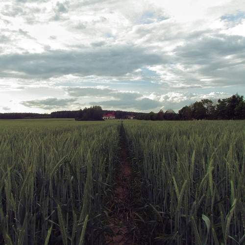 Photo #10688705