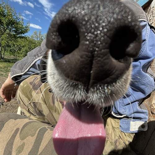 Photo #10688765
