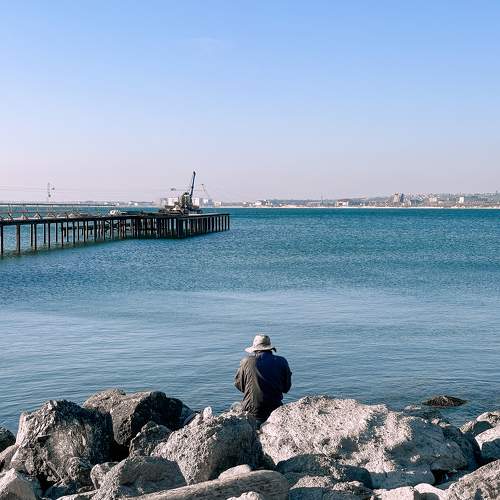Photo #10688775
