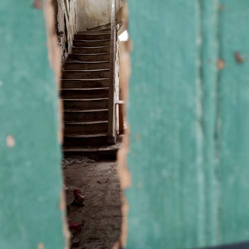 Photo #10688800