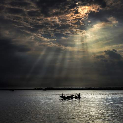 Photo #10688844
