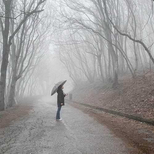 Photo #10688951