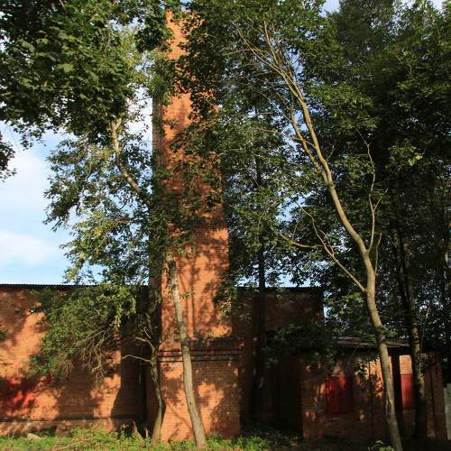 Photo #10689038