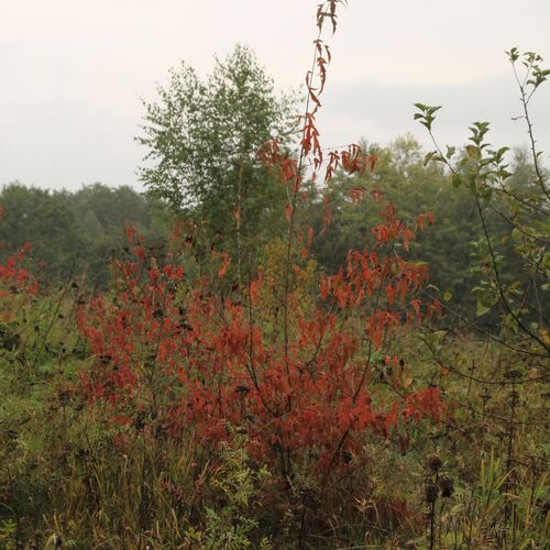 Photo #10689102