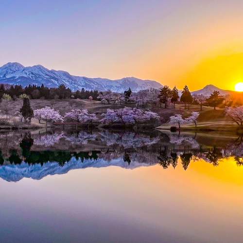 Reflection