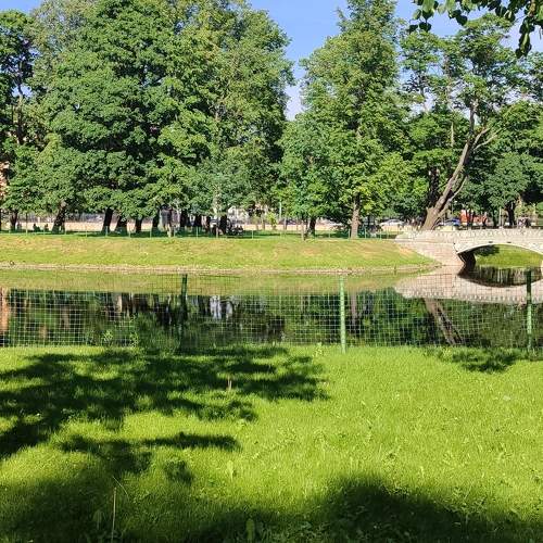 Photo #10689238
