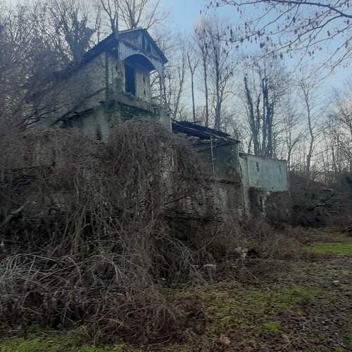 Photo #10689320