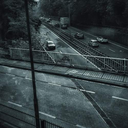 Photo #10689643