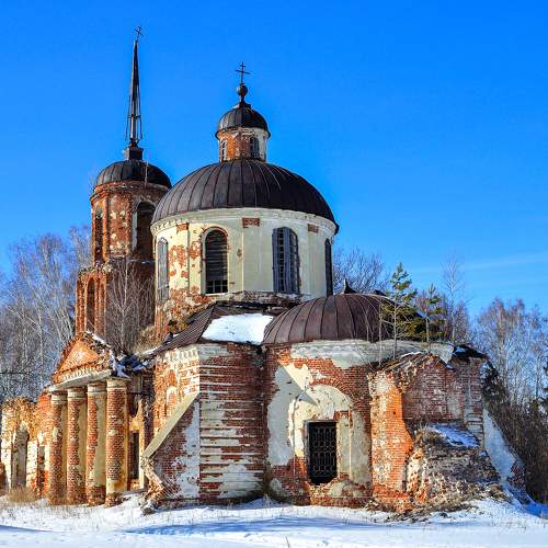 И на крышах растут деревья