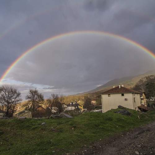 Photo #10689867