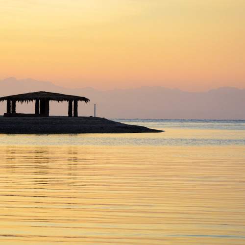 Photo #10689979