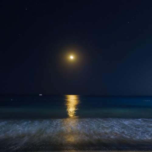 Photo #10690007