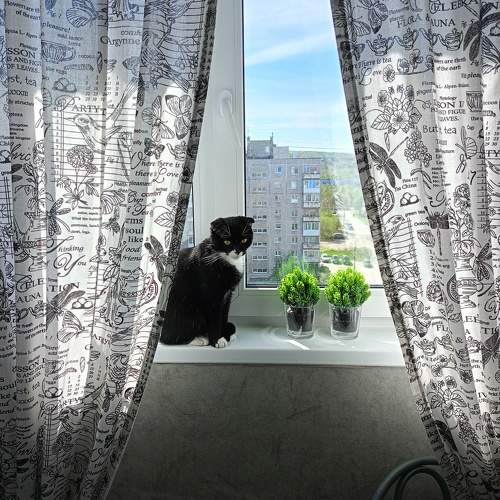 Photo #10690150